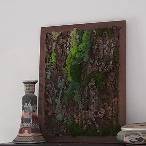 Tablou cu licheni stabilizați pe scoarță de copac- 2, 30X40 cm