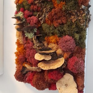 Tablou licheni  "Toamna, la ciuperci-1"-30x40cm