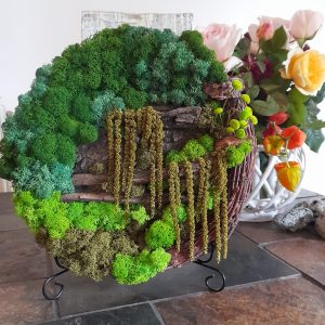 Tablou rotund cu licheni stabilizați, pe coroniță din crenguțe de mesteacăn- diametru 30 cm