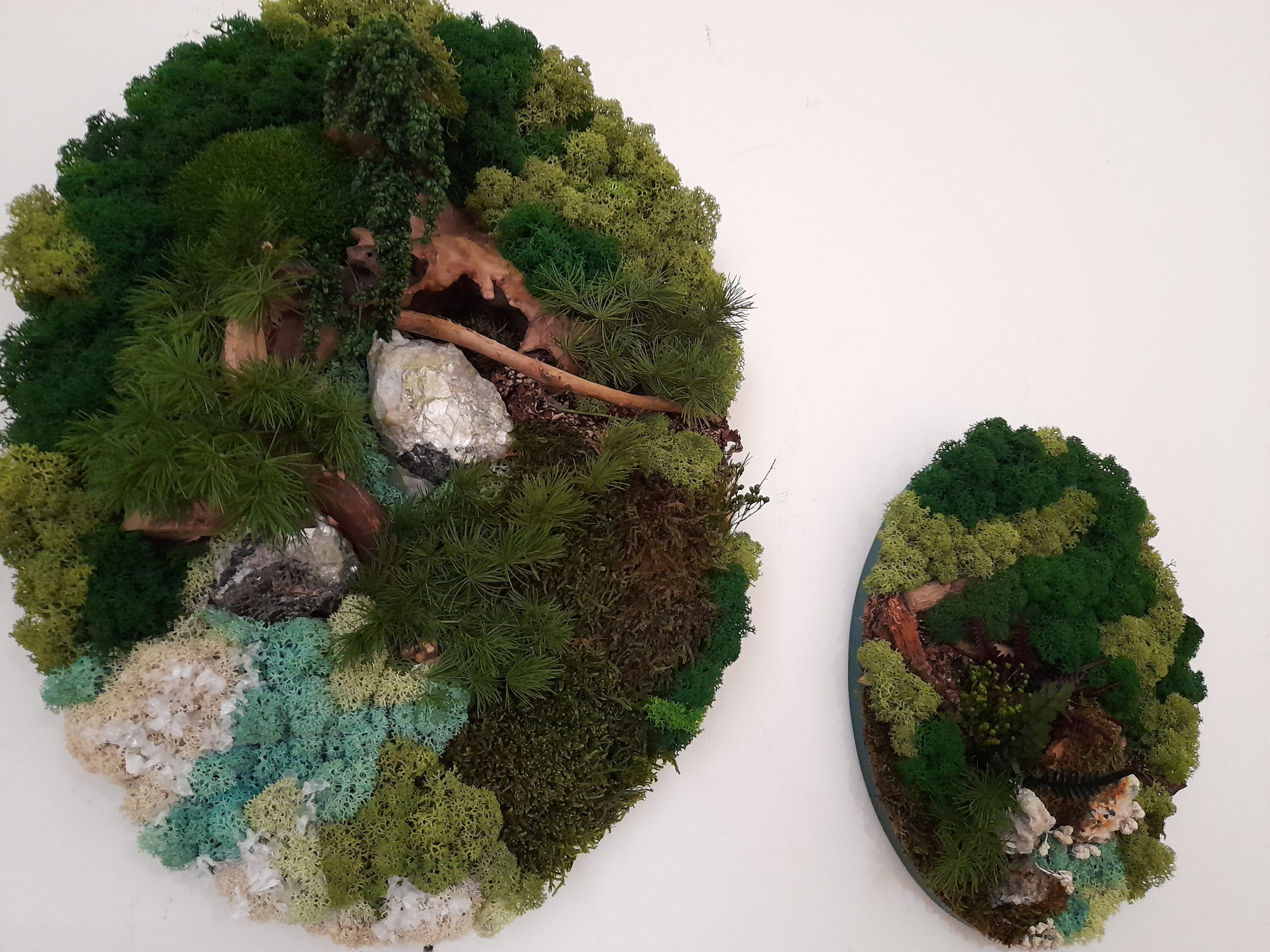 Început de iarnă/Tablou oval cu mușchi, licheni, plante stabilizate și cristale de mică, 30X40 cm - imagine 4