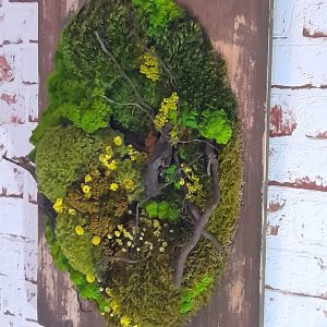 Flori galbene pe mușchi stabilizat-Tablou vegetal, oval, pe suport de lemn masiv/35x45 cm