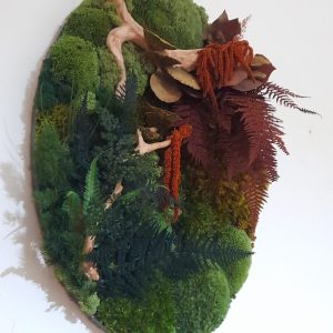 Tablou oval cu ferigi, ciuperci, mușchi și licheni stabilizați, 35x50 cm