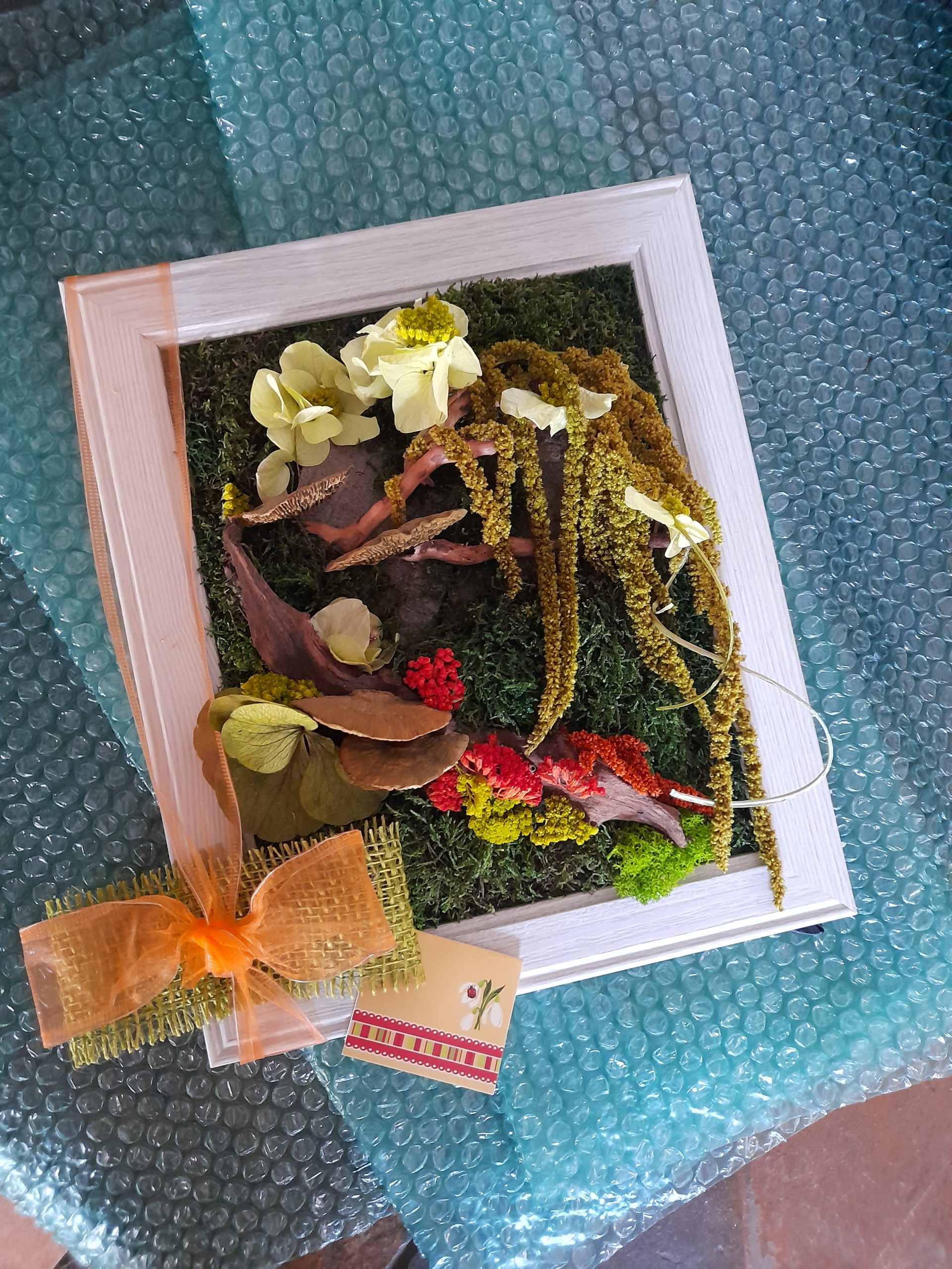 Tablou cu mușchi, licheni, ciuperci și plante stabilizate, cu suport pentru birou, 25 x 30 cm - imagine 5
