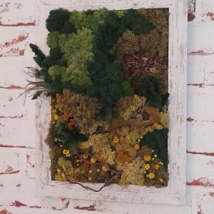 Tablou cu mușchi, licheni și plante stabilizate, cu suport pentru birou/34x26 cm