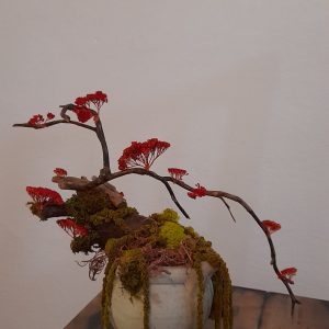 Bonsai cu mușchi și flori stabilizate orange, în vas ceramic tunisian
