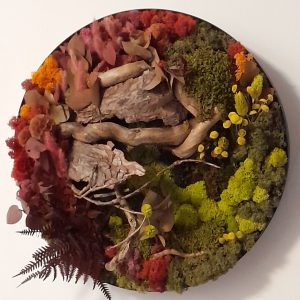 Amurg de toamnă/Tablou rotund cu mușchi plat, licheni și plante stabilizate, d=40 cm
