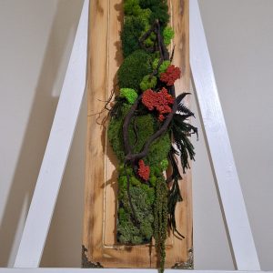 Mușchi și licheni pe lemn masiv/Perete verde, 55x20 cm