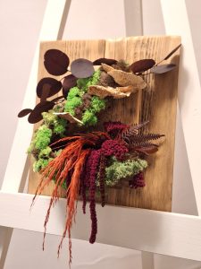 Bonsai cu licheni, ferigă, ciuperci, eucalipt și pampas, pe lemn masiv/33x28 cm