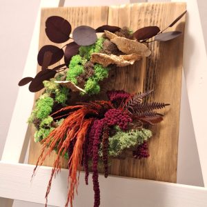 Bonsai cu licheni, ferigă, ciuperci, eucalipt și pampas, pe lemn masiv/33x28 cm
