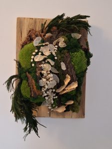 Tablou-decorațiune alb-verde cu mușchi, ciuperci, lunaria și scoarță de copac, pe lemn masiv reciclat-42x31 cm