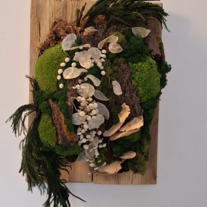 Tablou-decorațiune alb-verde cu mușchi, ciuperci, lunaria și scoarță de copac, pe lemn masiv reciclat-42x31 cm