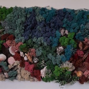 Tablou cu licheni, plante stabilizate și cochilii-"Decor marin, recif"-83 x 46 cm