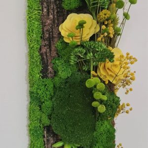 Tablou begonii galbene pe mușchi bombat, 14 x 50 cm
