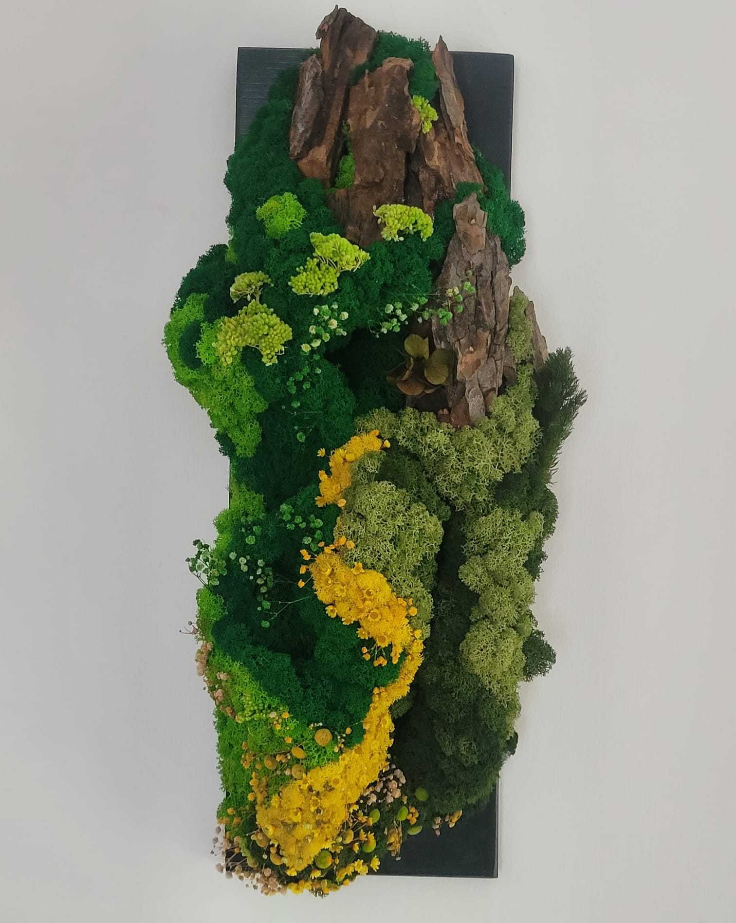 Vara-tablou vegetal pe lemn masiv/60x20 cm