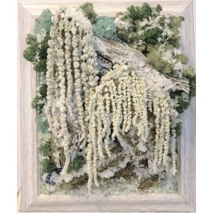 Tablou cu licheni, cascade iarna, 20 x 25 cm