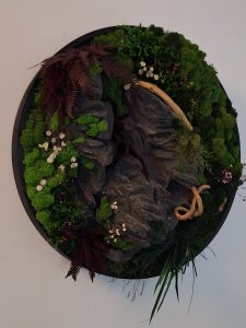 Tablou rotund cu piatră arhitecturală, mușchi, licheni și plante stabilizate;d=50cm