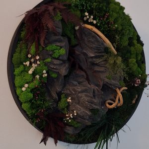Tablou rotund cu piatră arhitecturală, mușchi, licheni și plante stabilizate;d=50cm