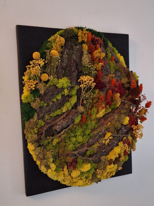 Peisaj de toamnă, tablou cu licheni pe lemn masiv-50x40cm