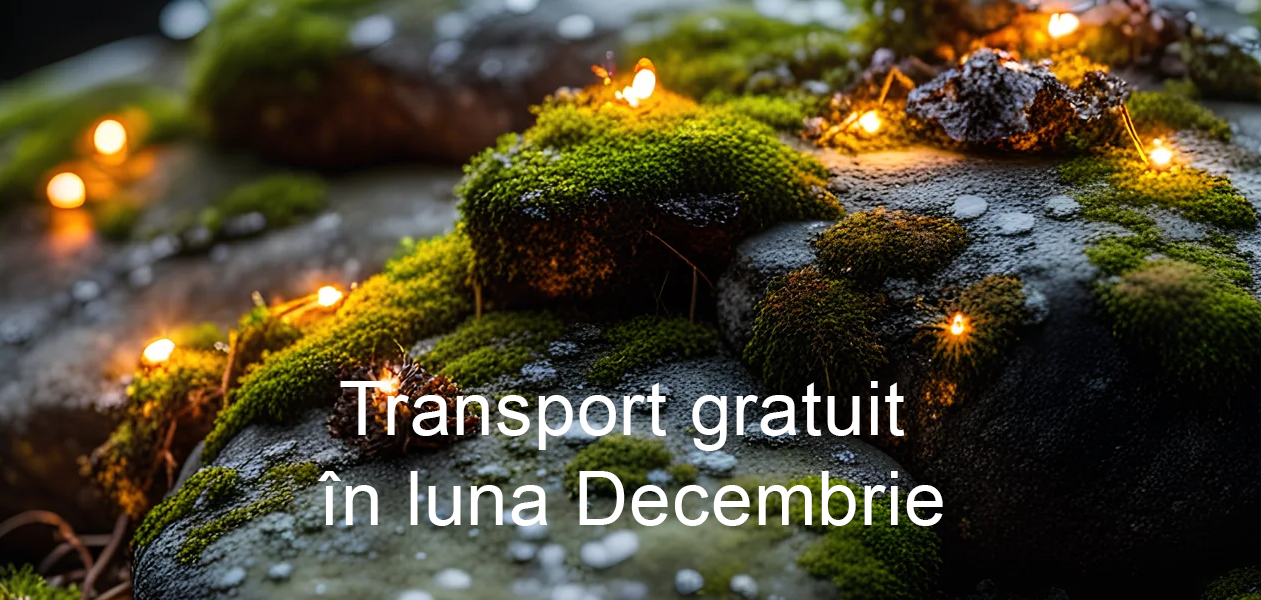 licheni-transport-gratuit