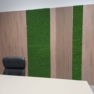 Panou cu licheni decorativi