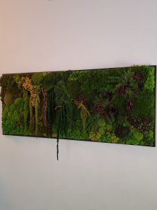 Tablou cu mușchi și licheni, pe lemn masiv, 50x120 cm