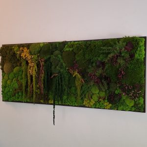 Tablou cu mușchi și licheni, pe lemn masiv, 50x120 cm