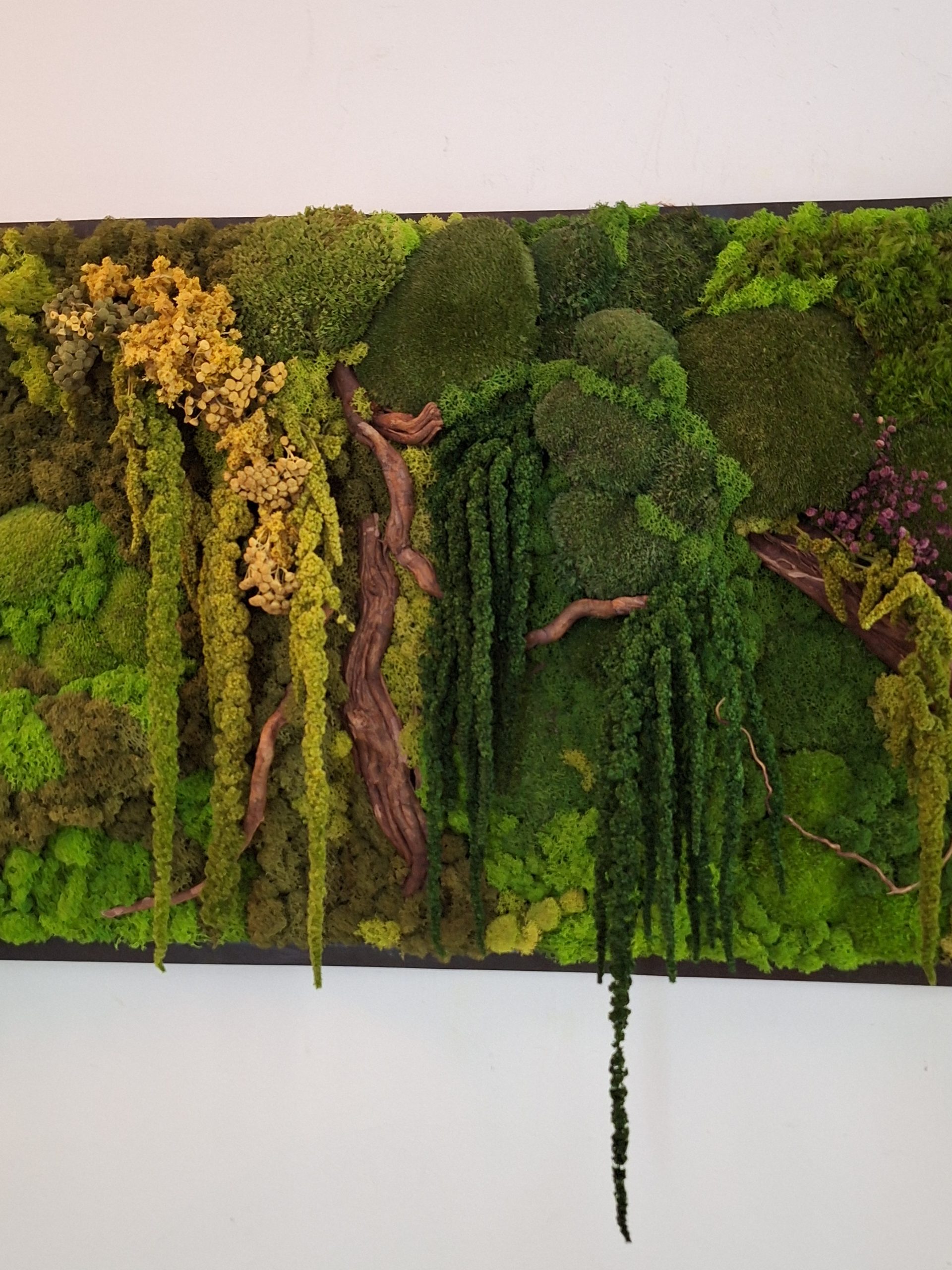 Tablou cu mușchi și licheni, pe lemn masiv, 50x120 cm - imagine 4