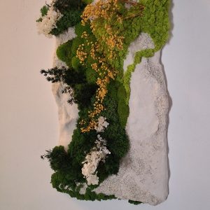 Rocă sculpturală albă cu mușchi și licheni, 40x70